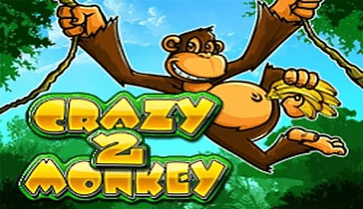 Crazy Monkey2IG