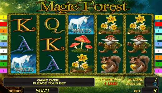 Magic Forest